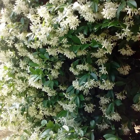 아파트 La Cornice Del Garda *